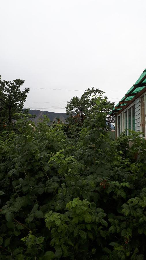 Nurgul Hotel Bokonbayevo Buitenkant foto